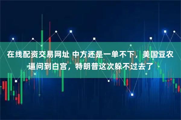 在线配资交易网址 中方还是一单不下，美国豆农逼问到白宫，特朗普这次躲不过去了