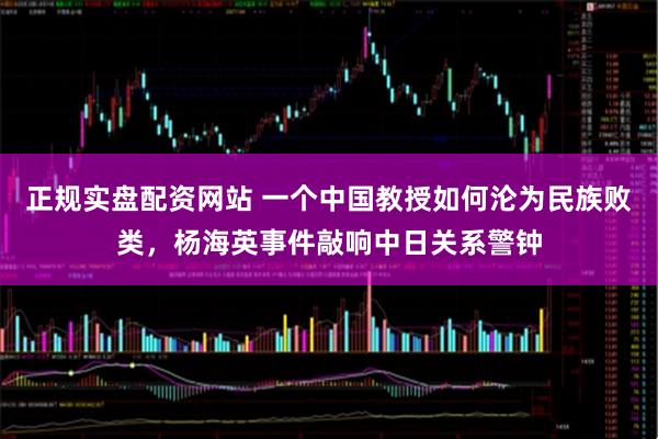 正规实盘配资网站 一个中国教授如何沦为民族败类，杨海英事件敲响中日关系警钟