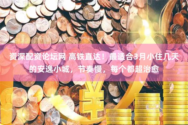 资深配资论坛网 高铁直达！最适合3月小住几天的安逸小城，节奏慢，每个都超治愈